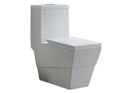 Pozzi Clove 1 PC Watercloset with Tank Fittings and Seat Cover