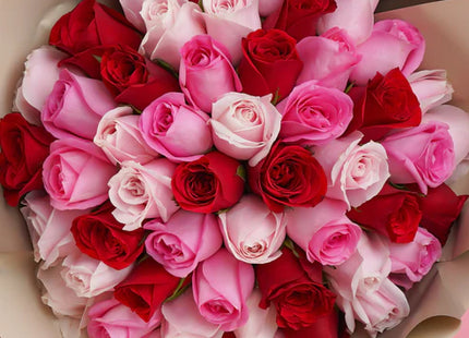 50 roses - Strawberry Kisses (Valentine)